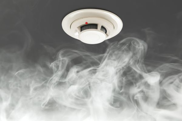 Cost of Smoke Mitigation Service in Lutz