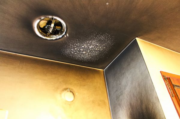 Cost of Smoke Damage Remediation in Lutz